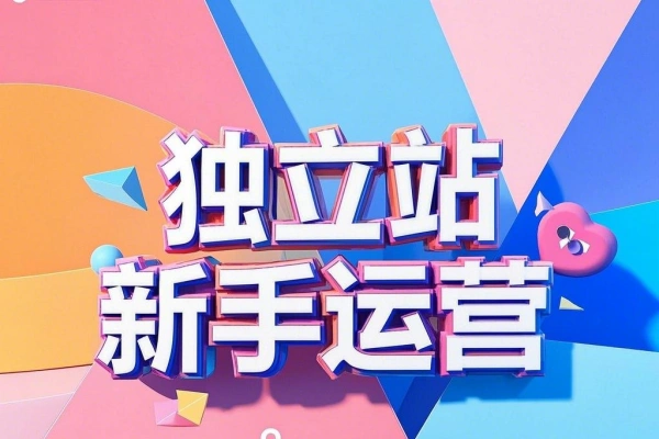 独立站新手体系化 运营全过程精准选品高效建站