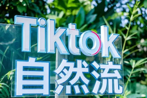 Tiktok自然流玩法视频爆产出几百上千单【飞书文档】