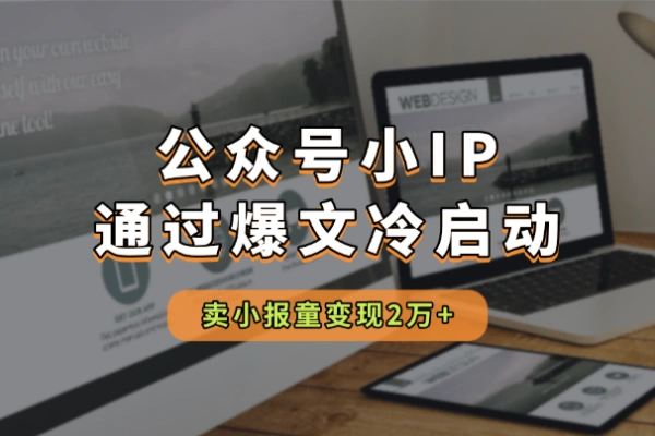 公众号小IP如何通过爆文冷启动卖小报童变现2万【飞书文档教程】