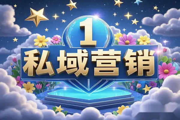 私域营销实战课：精准触达用户，高效转化，实现私域流量变现！