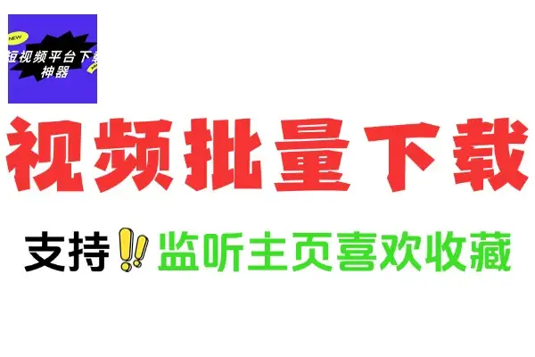 抖音快手视频主页视频批量下载工具：便捷获取心仪视频