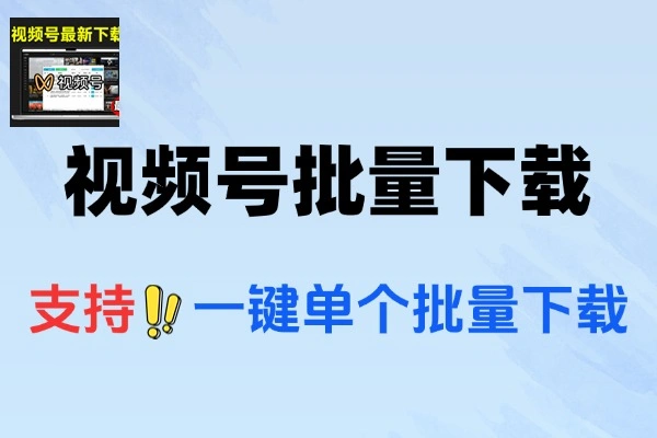 2025 必备！视频号下载神器，一键嗅探批量满速下载！