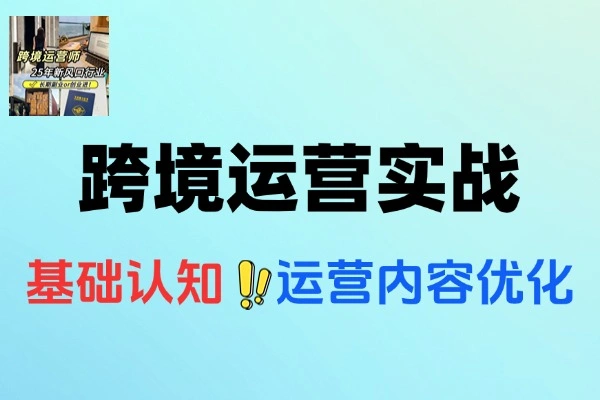 Instagram跨境运营实战平台认知账号运营内容优化选品策略及变现模式