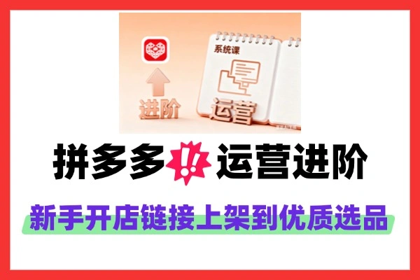 拼多多运营进阶系统课：2024-2025 年全流程运营指南