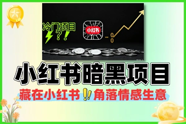 小红书暗黑小众冷门项目当天可能就会有收益